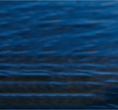 most liked catch image