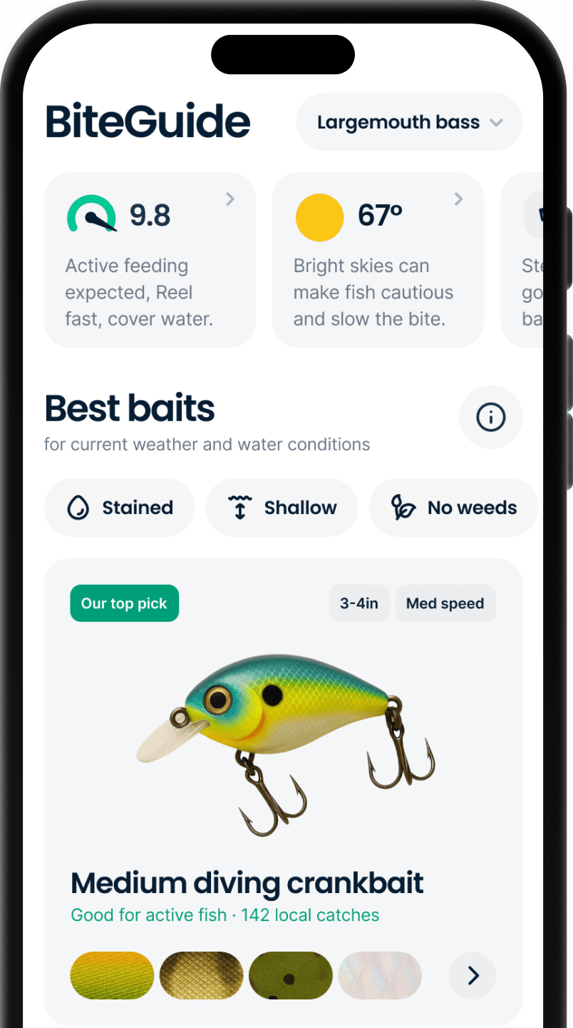 BiteGuide App feature