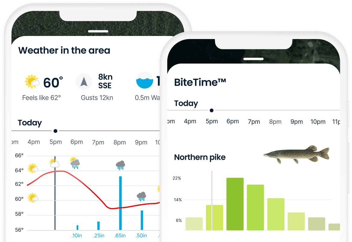 ᐅ Lake Saint Croix (MN) fishing reports🎣• Hudson, WI (United States