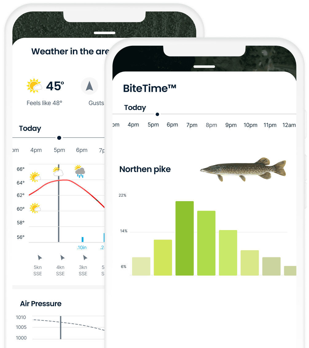 ᐅ Jersey City Flowage (Tomahawk River) fishing reports🎣• Wausau, WI ...