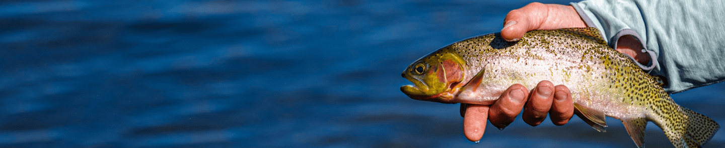 most liked catch image