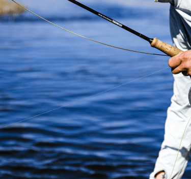 most liked catch image