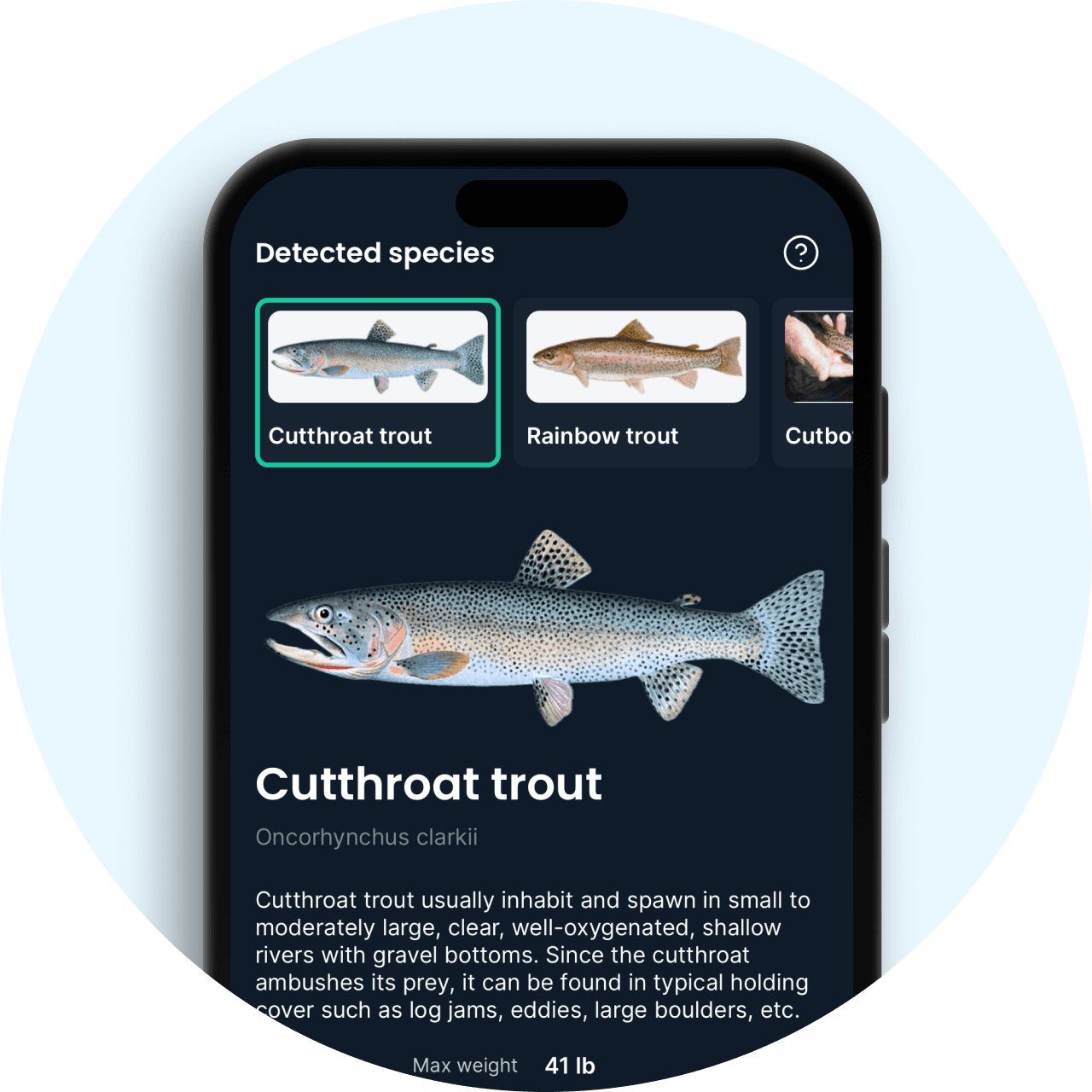 Fishbrain app shows the identified fish