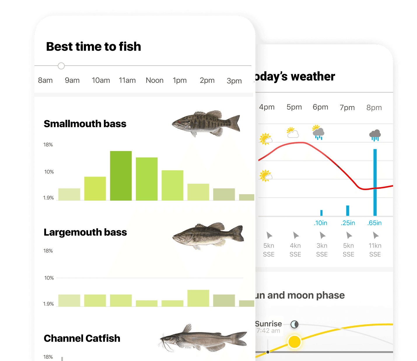 fishing forcast