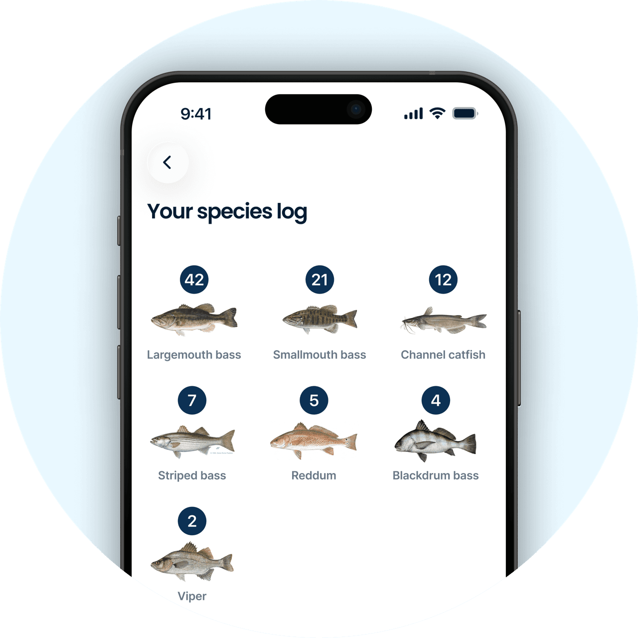 Species log sorted by catch count in the Fishbrain app