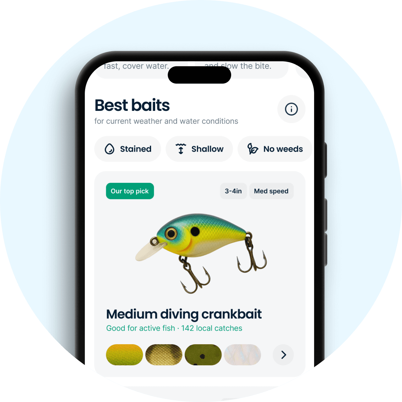 Bait, color, size, depth, and presentation suggestions in the Fishbrain app