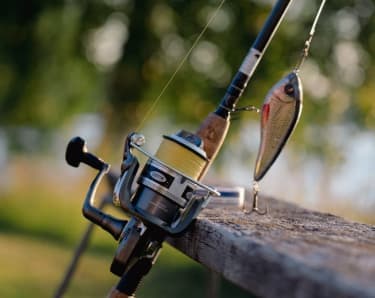 Fishing rod