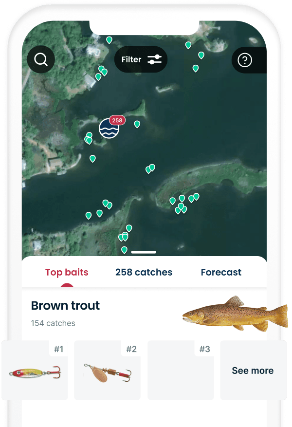 Top baits in the app