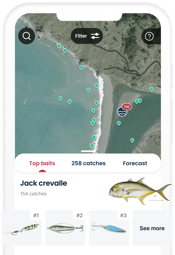 Top baits in the app