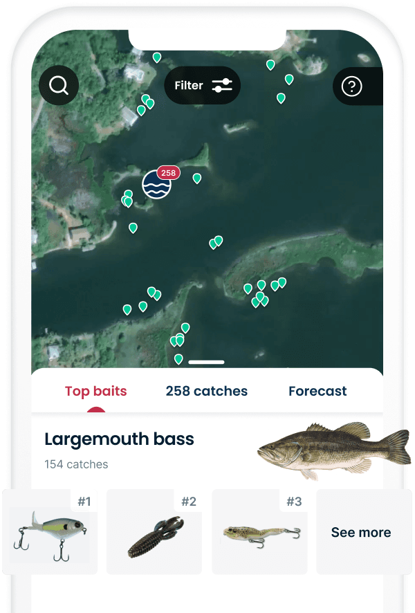 Top baits in the app