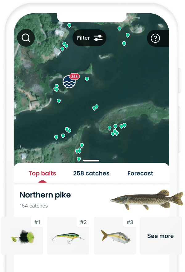 Top baits in the app