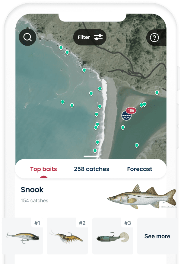 Top baits in the app