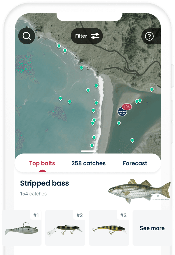 Top baits in the app