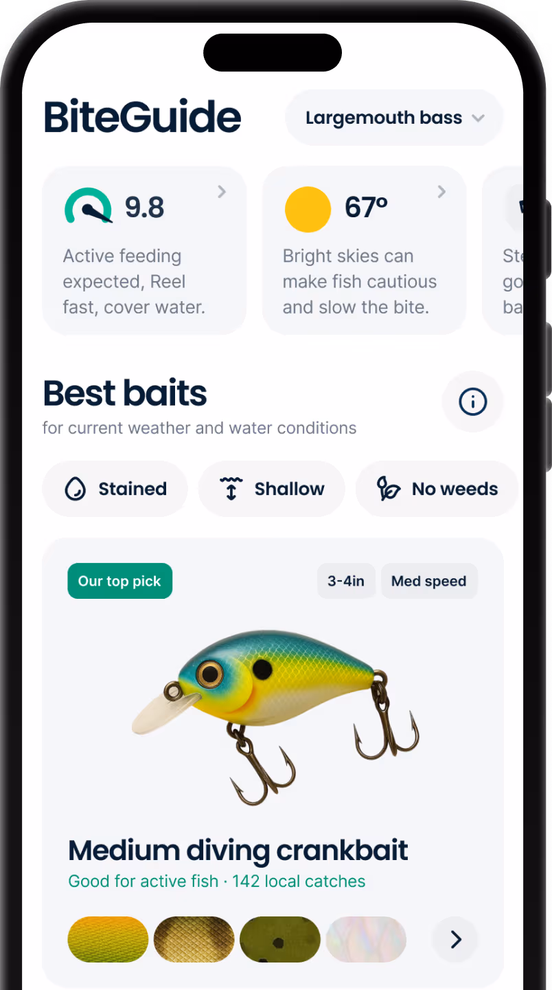 BiteGuide App feature