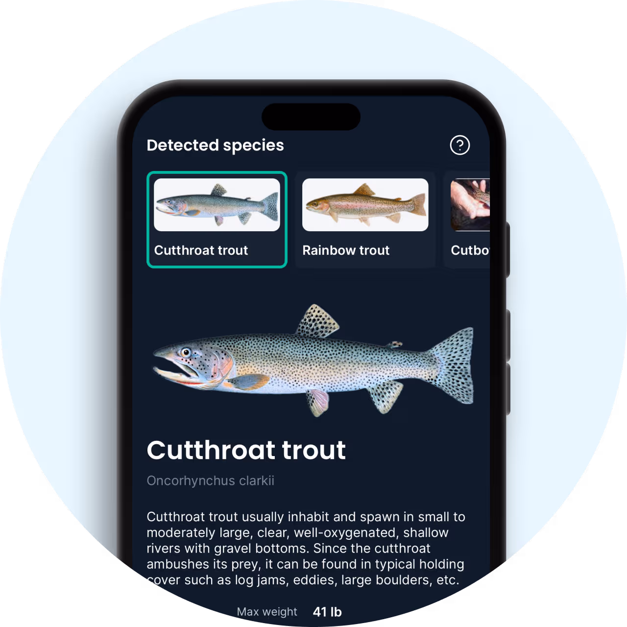 Fishbrain app shows the identified fish