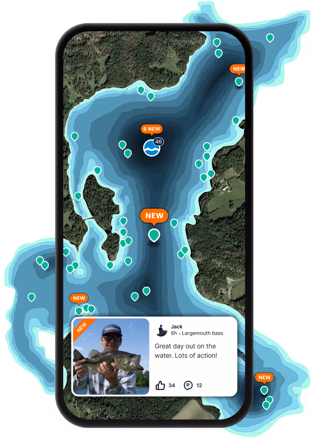 App Section