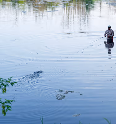 most liked catch image