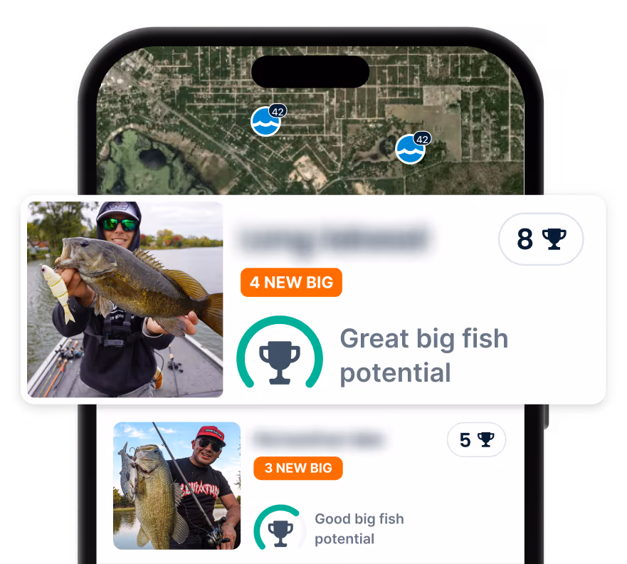 App Section