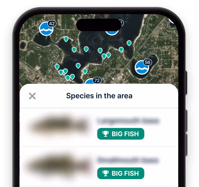 App Section